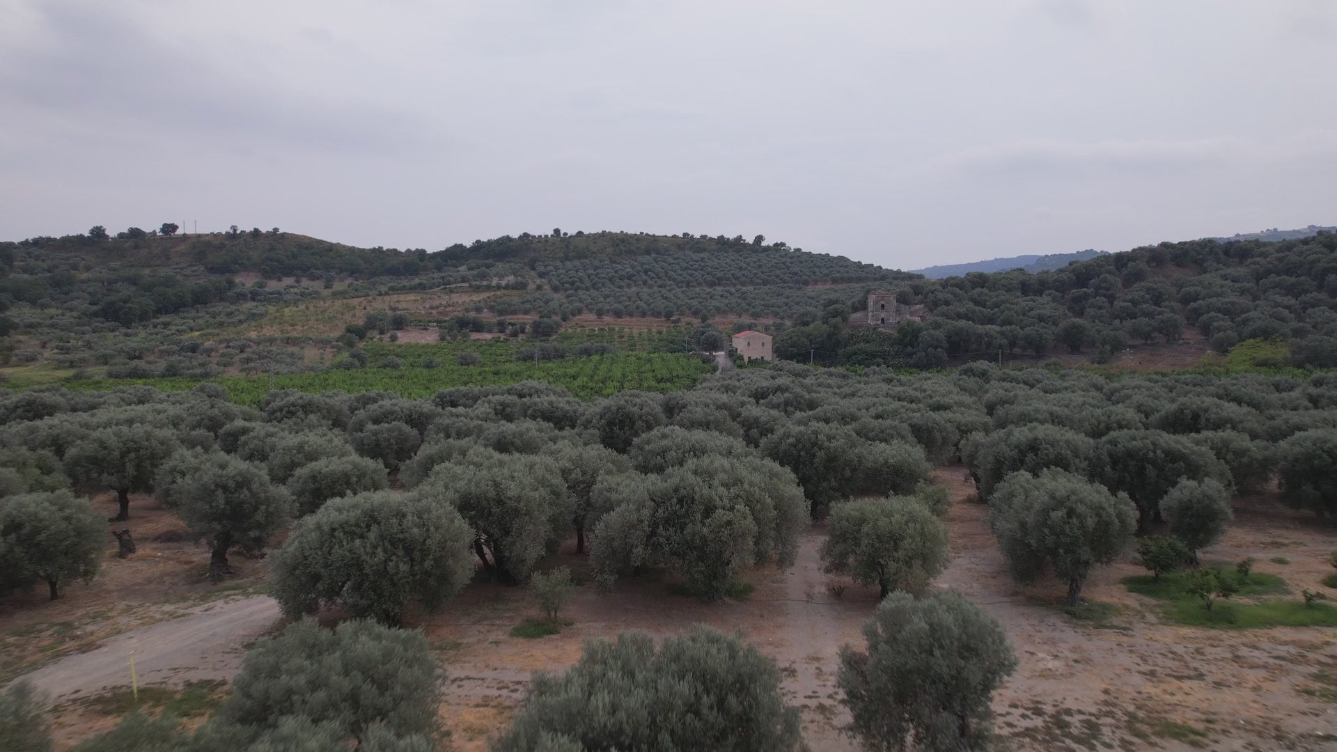 Charger la vidéo : 